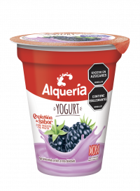 Yogurt Vaso Sabor Mora